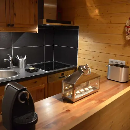 Duplex Authentique 6 Pers Au Coeur De Avec Balcon, Local A Ski, Et Box En Option - Fr-1-545-40